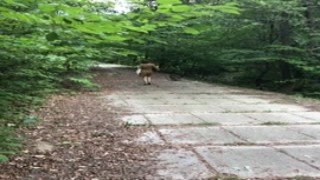 cindy shine - sex on a public beach