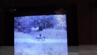 horror porn – the girl from the well